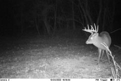 Farm and Ranch in Adams County, Mississippi