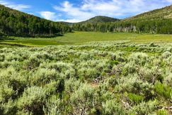 Farm and Ranch in Carbon County, Utah