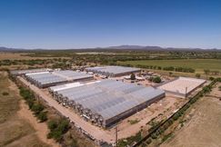 Farm and Ranch for sale in Santa Cruz County, Arizona