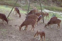 Recreational Property for sale in Menard County, Texas