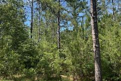 Farm and Ranch for sale in Lamar County, Mississippi