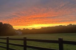 Timberland Property in York County, South Carolina