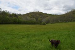 Farm and Ranch for sale in Gilmer County, West Virginia