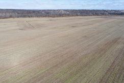 Timberland Property for sale in Carroll County, Missouri