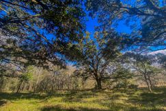Farm and Ranch for sale in Brazoria County, Texas