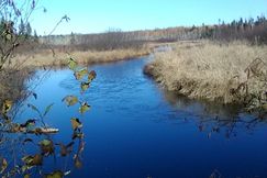 Recreational Property for sale in Aroostook County, Maine