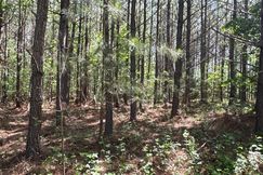 Recreational Property for sale in Pittsylvania County, Virginia