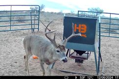 Hunting Property for sale in Donley County, Texas