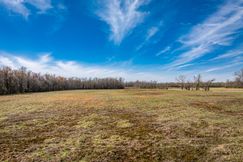 Timberland Property for sale in Madison County, Tennessee