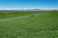 Undeveloped Land for sale in Owyhee County, Idaho