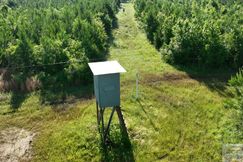 Farm and Ranch for sale in Lincoln County, Mississippi