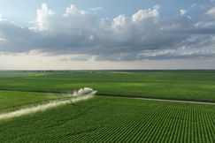Undeveloped Land for sale in Box Butte County, Nebraska
