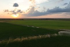 Undeveloped Land for sale in Box Butte County, Nebraska