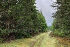 Recreational Property for sale in Jefferson County, Washington