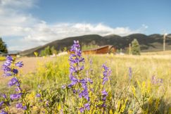 Land for sale in Mineral County, Colorado