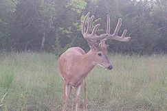 Farm and Ranch for sale in Jackson County, Kansas