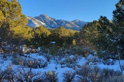 Farm and Ranch for sale in Taos County, New Mexico