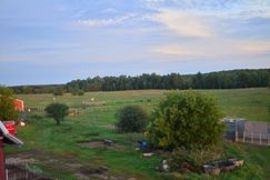 Farm and Ranch for sale in Forest County, Wisconsin