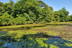 Recreational Property for sale in New Haven County, Connecticut