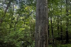 Recreational Property for sale in Windham County, Connecticut