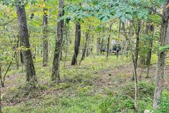 Recreational Property for sale in Preston County, West Virginia
