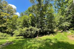 Timberland Property for sale in Washtenaw County, Michigan