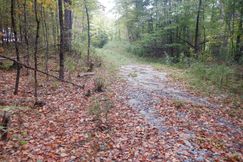 Farm and Ranch for sale in Rutland County, Vermont