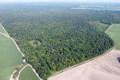 Recreational Property for sale in Iberville Parish, Louisiana