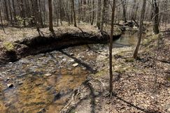 Timberland Property for sale in Tallapoosa County, Alabama