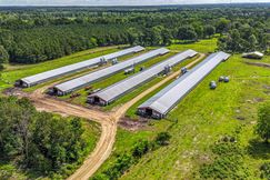 Farm and Ranch for sale in Walthall County, Mississippi