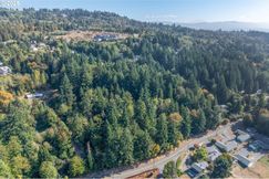 Undeveloped Land for sale in Cowlitz County, Washington