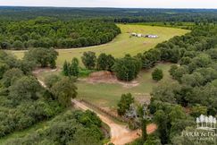 Undeveloped Land in Geneva County, Alabama