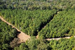 Timberland Property for sale in Amite County, Mississippi