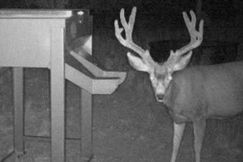 Recreational Property for sale in San Juan County, Utah