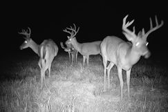 Recreational Property for sale in Independence County, Arkansas