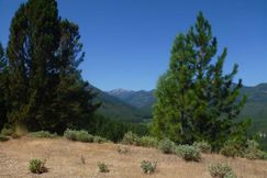 Timberland Property for sale in Siskiyou County, California