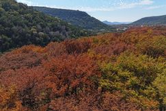 Farm and Ranch for sale in Real County, Texas