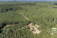 Farm and Ranch for sale in Holmes County, Florida