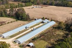 Farm and Ranch for sale in Lawrence County, Mississippi