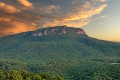 Farm and Ranch for sale in Stokes County, North Carolina