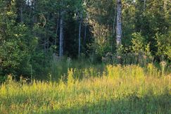 Farm and Ranch for sale in Chippewa County, Michigan