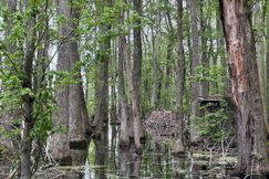 Farm and Ranch for sale in Woodruff County, Arkansas