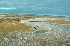 Undeveloped Land for sale in Lake and Peninsula Borough, Alaska