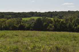 Tom Kissee Has 10 Listings For Sale In Springfield Mo