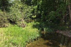 Talladega County Gis Land Parcel Talladega County, Al Land For Sale - 380 Listings | Landwatch