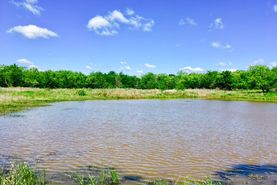 Undeveloped Land in Navarro County, Texas