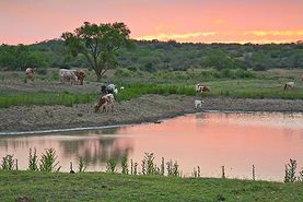 Recreational Property in McCulloch County, Texas