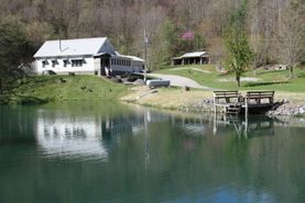 Timberland Property in Hawkins County, Tennessee