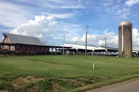 Timberland Property in Bedford County, Virginia