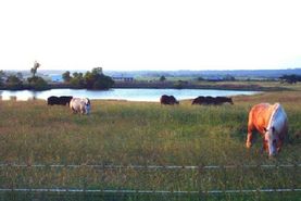 Farm and Ranch in Pittsburg County, Oklahoma